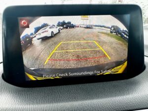 Thumbnail of 